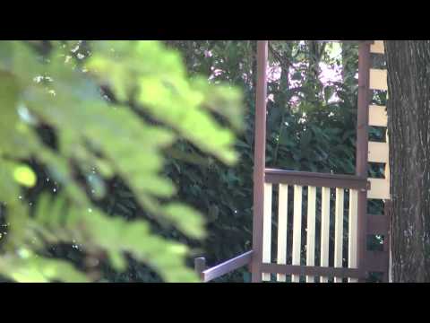 download lagu mp3 mp4 Caravaneige Vosges, download lagu Caravaneige Vosges gratis, unduh video klip Caravaneige Vosges