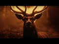 YouTube preview