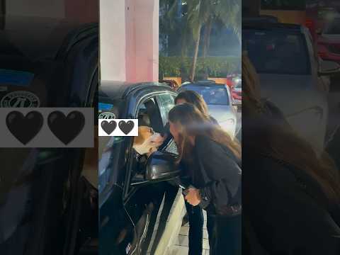 Raveena and Rasha playing with Dog #shorts #raveenatandon #rashathadani #dog #dogs