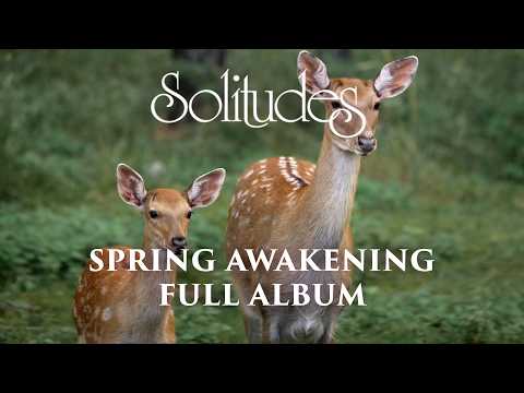 1 hour of Relaxing Music: Dan Gibson’s Solitudes - Spring Awakening (Full Album)