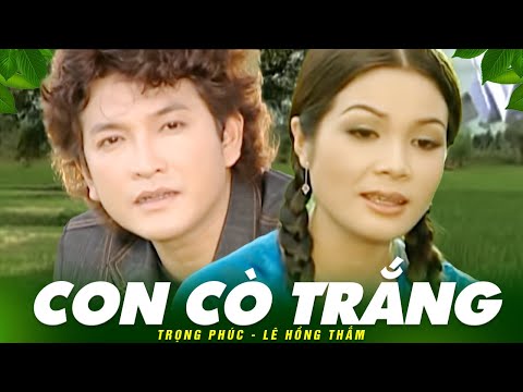 CON CÒ TRẮNG (tân cổ) - Trọng Phúc ft Lê Hồng Thắm | Official Music Video