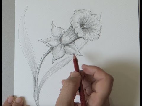 download lagu mp3 mp4 Jonquille, download mp3 Jonquille free download, download mp3 Jonquille