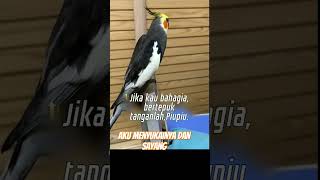 Download lagu #BERSIUL SEPANJANG HARI #Shorts mp3