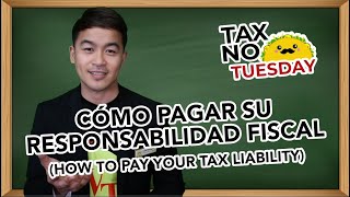 How to Pay Your Tax Liability