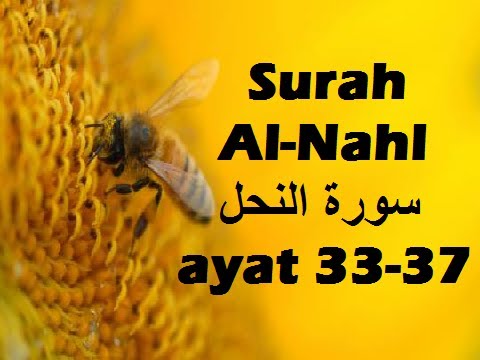 2013/11/04 Ustaz Shamsuri 795 - NE2 Surah An Nahl ayat 33-37