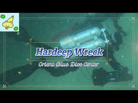 Hardeep Wreck #13