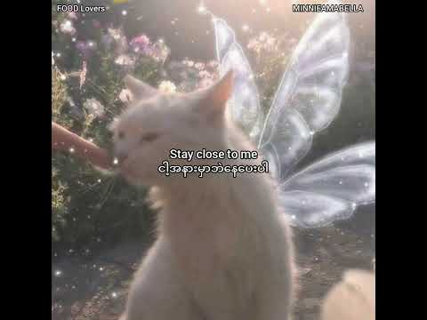 Take Me Hand _ Daishi Dance ,Ft. Cecile Corbel  , Myanmar Translation