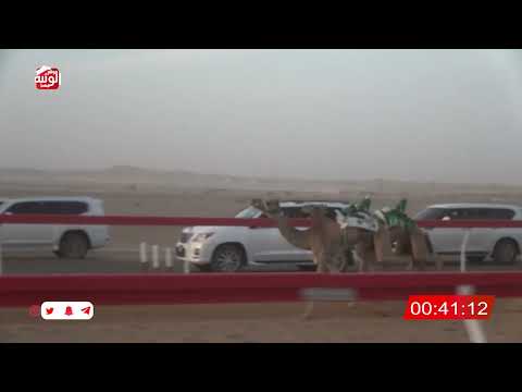  ش 4 (معزم) لـ حمد عبدالله بن برمان المنصوري 2:05 , شارة الصندوق 2026/04/25 فطامين الروضة