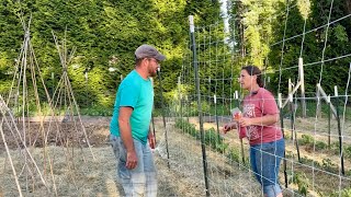 Layin' It By | Homestead Vlog | May 21, 2025