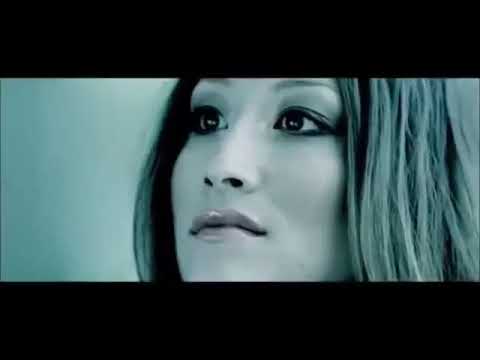 Dj Aligator Feat Mohammad Esfehani - Im Coming Home 