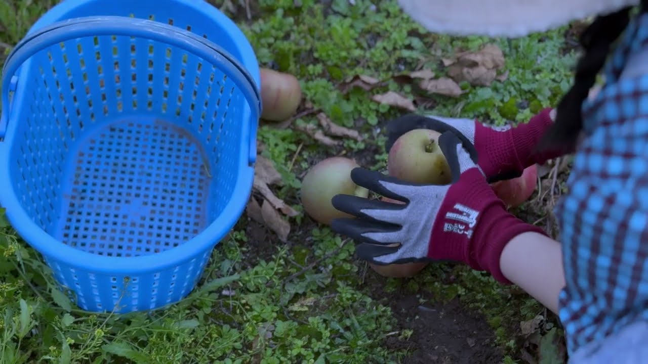 【一次審査通過作品】[No.134]A PEOPLE