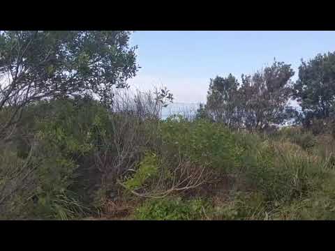 Diamond Beach, June 2020