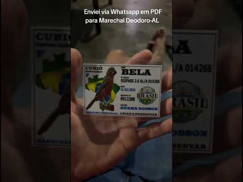 Enviei via Whatsapp em PDF para Marechal Deodoro-AL 🔥🫅