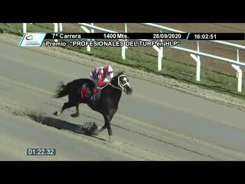 28/09/2020 – Hipodromo Las Piedras – Carr 7 – "PROFESIONALES DEL TURF en HLP"