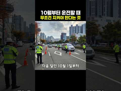 10월부터 운전할 때 무조건 지켜야 한다는 것