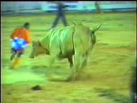 RODEIO DE COLORADO - PR 2005 (TOUROS)