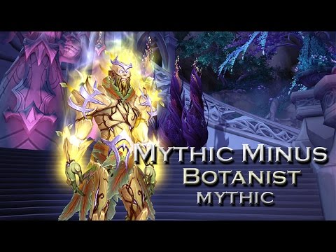 Mythic Minus vs. Mythic High Botanist Tel'arn [Holy Priest PoV]