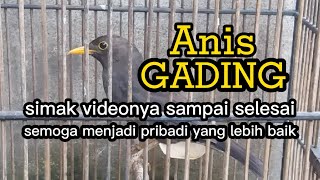 Download lagu Ivory Anis Bird. Watch the video and hopefully become a better person. mp3