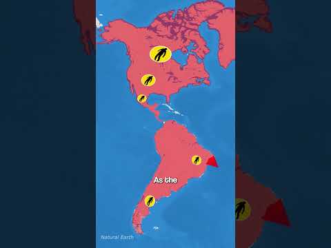 What If Zombies Took Over?