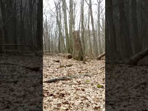 con fe te pido señor #fe #amor #music #senderismo #nature #naturalezasalvaje #snow #winter