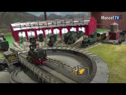 Jurnal MUSCEL TV 07.06.2022 Expoziții inedite la Golești – muzeul copilăriei și diorama feroviară