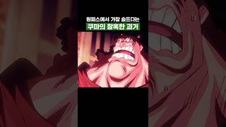 원피스) 가장 슬프다는 쿠마의 참혹한 과거