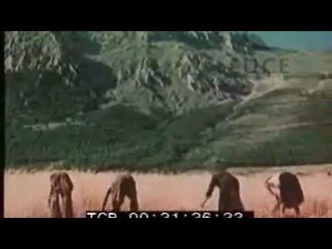 INUTILI - Land Without Bread (Abruzzo Psychedelico)