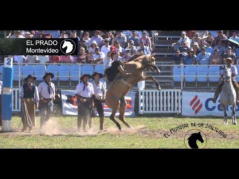 Gran Festival Criollo en Villa Robles, Santiago del Estero - El Mundial de la Jineteada 199