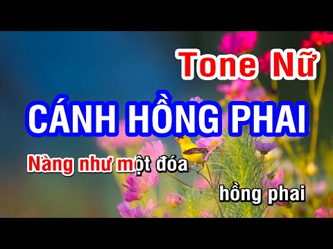Cánh Hồng Phai (Karaoke Beat) -  Tone Nữ | Nhan KTV