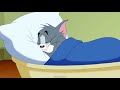 Tom Jerry Tales S2 Cat Whisperer