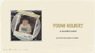 No Sabes Cuanto Music Video