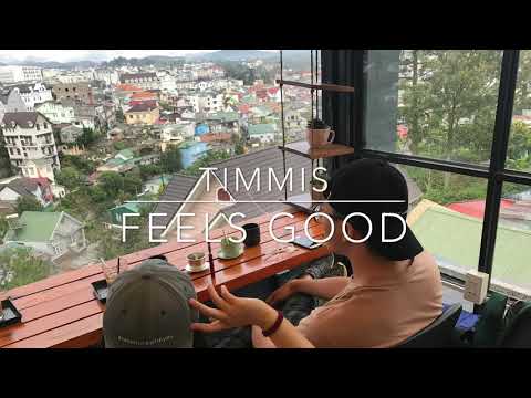 Timmis - Feels Good [Audio] (Prod. Robin Wesley)