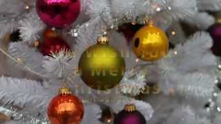 We wish you a merry christmas mit Songtext