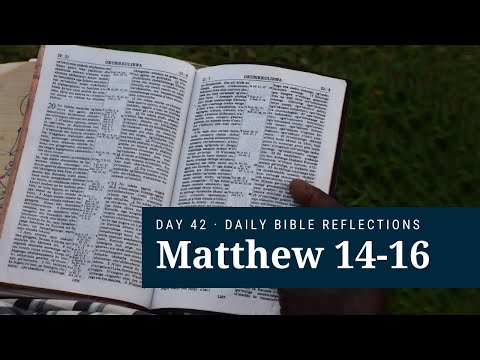 DAY 42 | Matthew 14-16 | The Bible in a Year