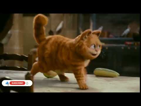 Garfield version|| Arabic kuthu halamithi habibo song tamil