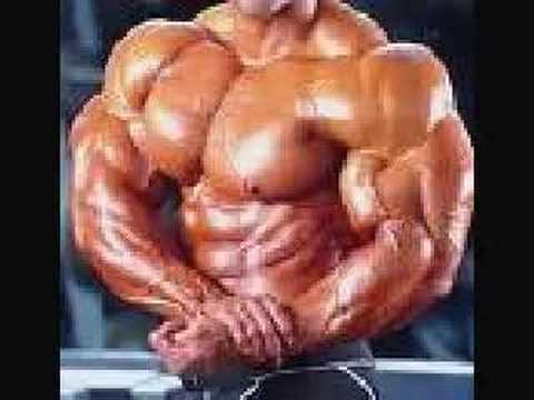 gudio hatzis vs lawnmower