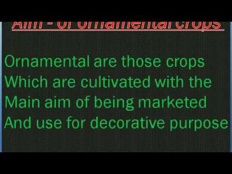 Overview of Ornamental Crops