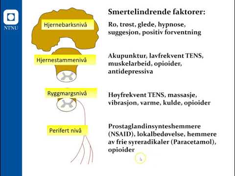 Darsonval Behandlung von Osteochondrose Bewertungen Osteochondrose Temperatur verschlimmert