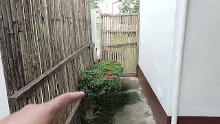 (SOLD) RUSH SALE HOUSE AND LOT | 4 BR | DAUIS PANGLAO ISLAND BOHOL | PRICE 6M