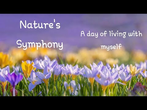 A day in the strangest places #strangerthings  #naturesymphony #shortvideo #hasanzirak #nostalgia