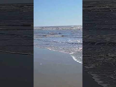 rondinha Rio Grande do Sul litoral sossegado. perto de Torres.