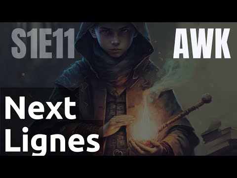 Scripts 1 11 AWK next passer à la ligne suivante