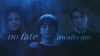 The Potter Family | No Fate Awaits Me