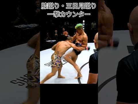 ＃膝蹴り　＃三日月蹴り　＃空手　＃キックボクシング　＃ムエタイ　＃MMA   ＃蹴り　＃カウンター　＃一撃