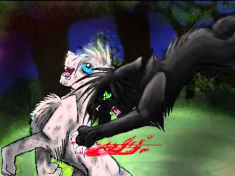 ~-.*smoke weed everyday*.-~