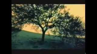 Tiro De Gracia   Chupacabras - video clip - Rap Chile