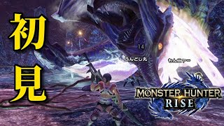 【モンハンライズ】百竜ノ淵源ナルハタタヒメでゲーム実況復帰してみた