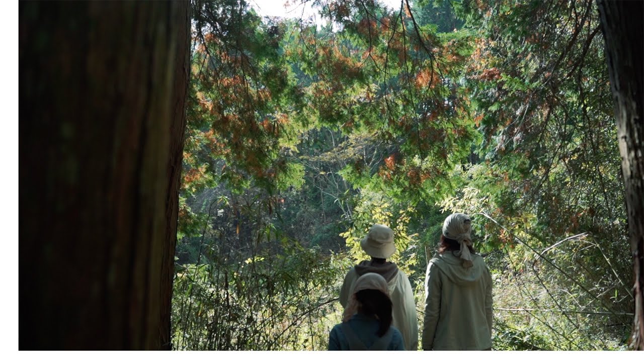 女性だけの家族が選んだ築125年古民家の敷地ツアー