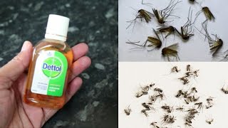 MAGIC DETTOL  || Kill Mosquitos In 5 Minutes || Magic Ingredients || Super Result || Home Remedy