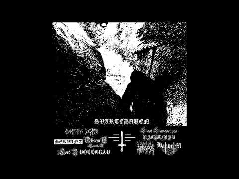 C.L.U.R. Armata - Svartedauen (Official Split 2018)